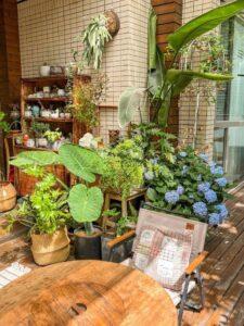 Decor-cay-xanh