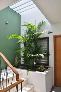 Decor-cay-xanh