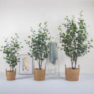 Cay-gia-decor-phong-khach