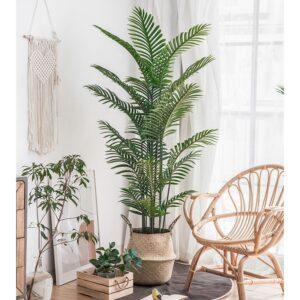 Cay-gia-decor-phong-khach